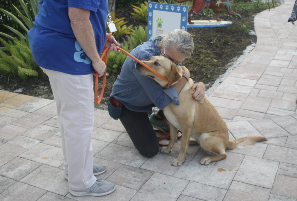 Behind the Scenes: Bringing “Dear Superhero” to the screen - Southeastern  Guide Dogs Inc